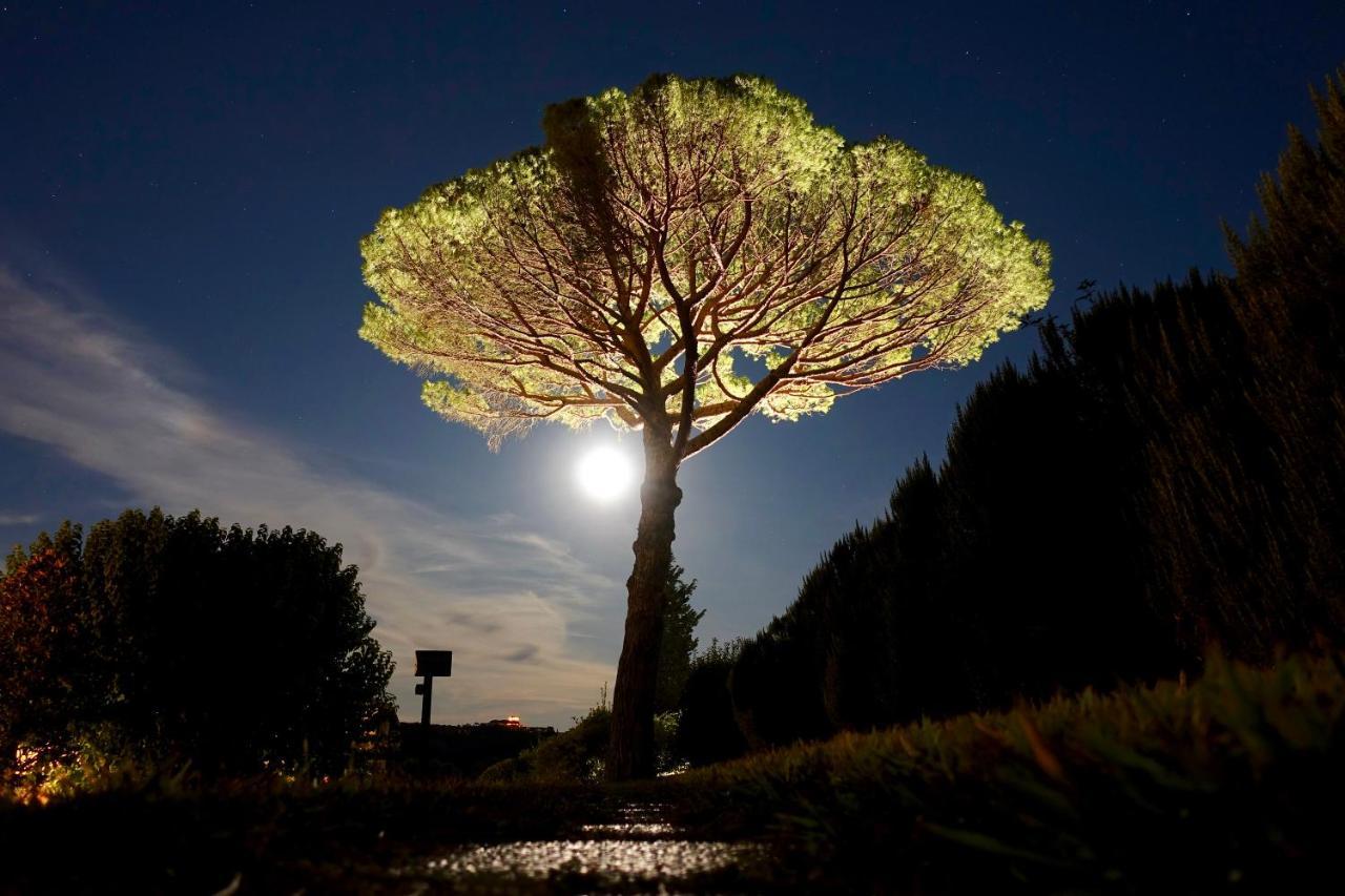 San Giovanni a Corazzano Agriturismo Buon Riposo - Country Resort In The Heart Of Tuscany المظهر الخارجي الصورة