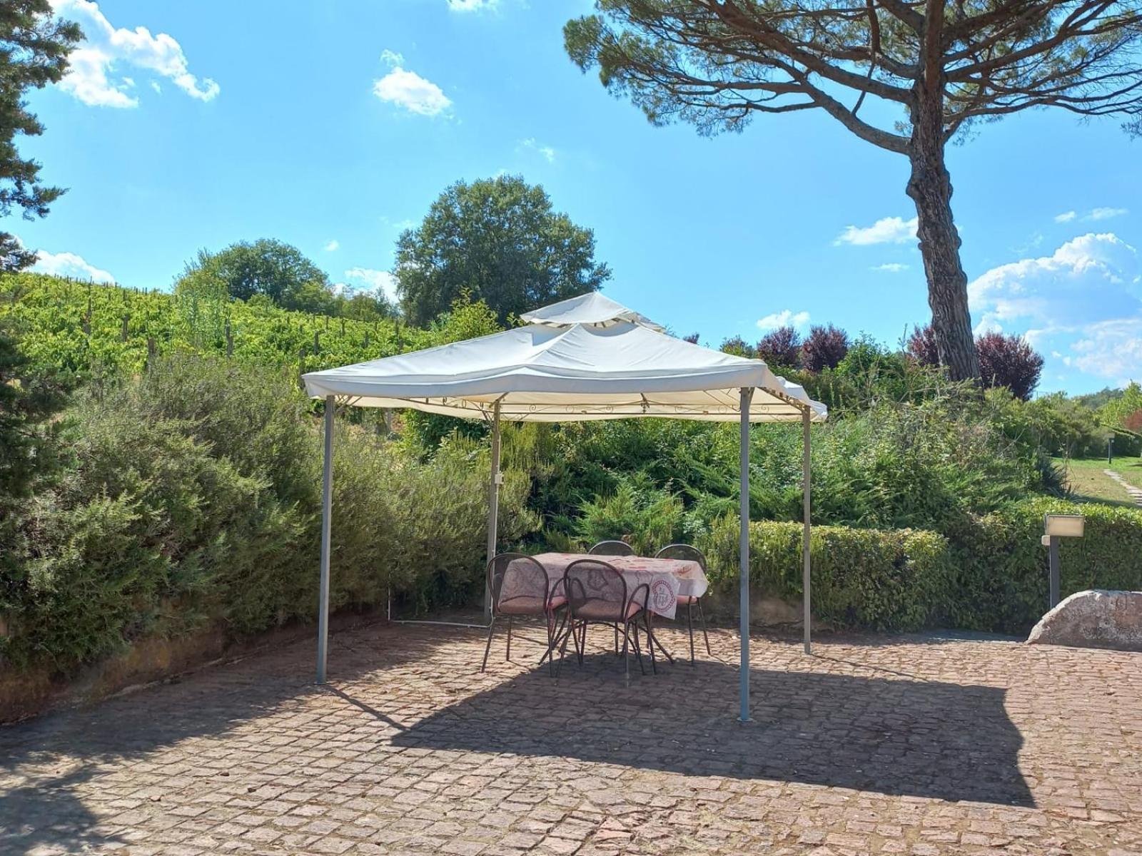 San Giovanni a Corazzano Agriturismo Buon Riposo - Country Resort In The Heart Of Tuscany المظهر الخارجي الصورة