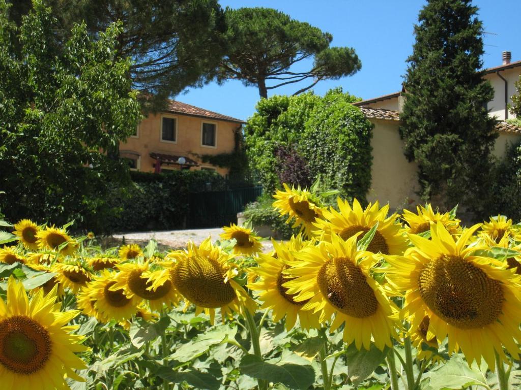 San Giovanni a Corazzano Agriturismo Buon Riposo - Country Resort In The Heart Of Tuscany المظهر الخارجي الصورة