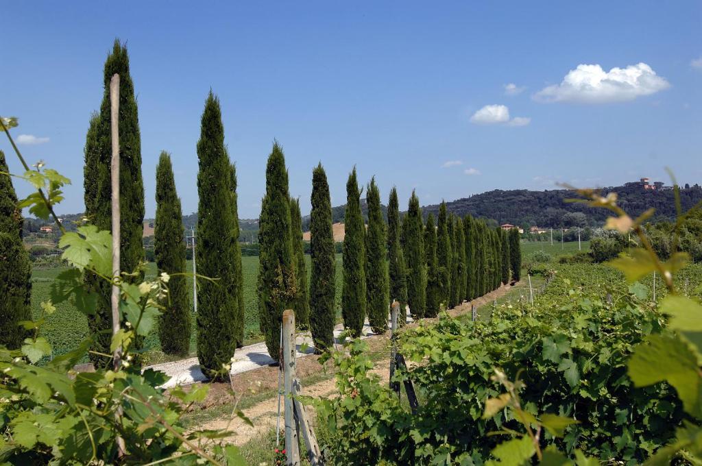 San Giovanni a Corazzano Agriturismo Buon Riposo - Country Resort In The Heart Of Tuscany المظهر الخارجي الصورة